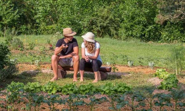 Petite histoire de la permaculture : comment cette philosophie est-elle devenue si populaire ?