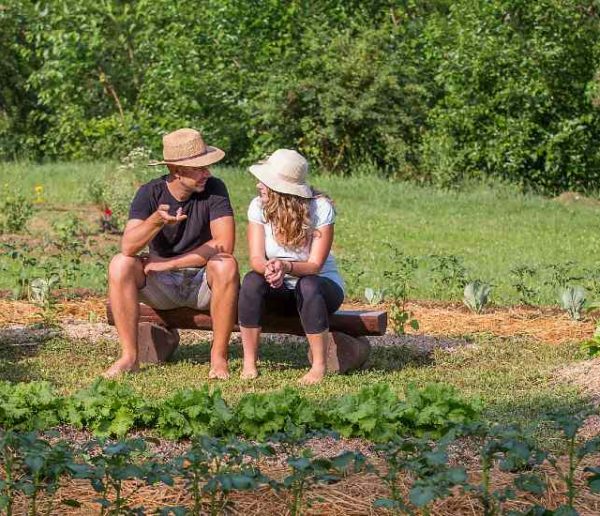 Potager et Permaculture