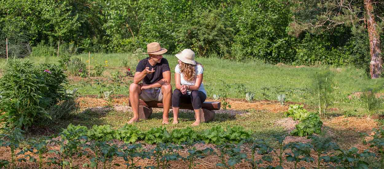 Petite histoire de la permaculture : comment cette philosophie est-elle devenue si populaire ?