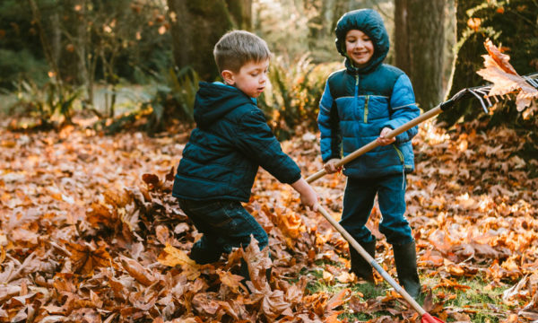 4 étapes incontournables pour entretenir et nettoyer son jardin en automne