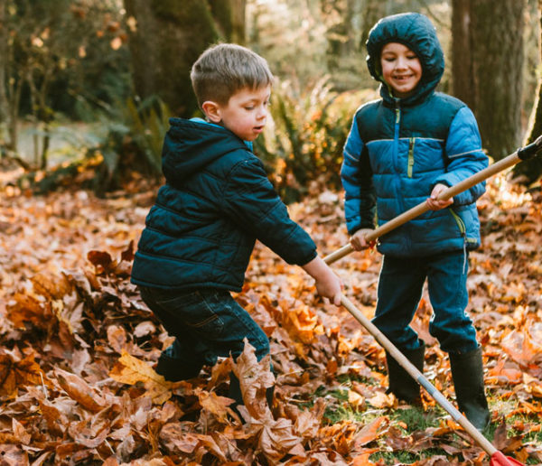 4 étapes incontournables pour entretenir et nettoyer son jardin en automne