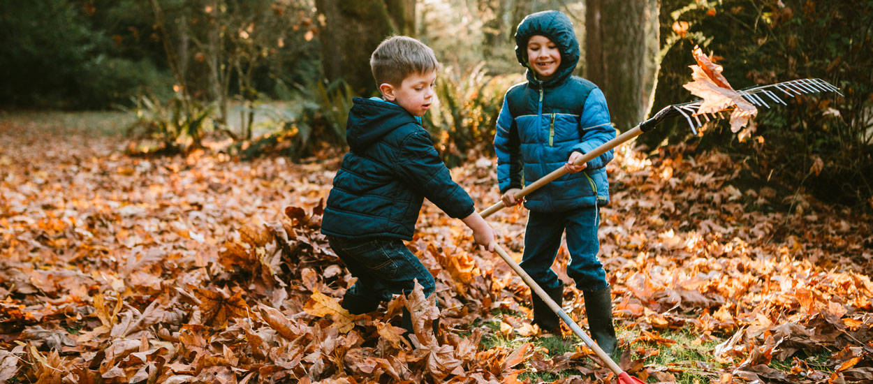 4 étapes incontournables pour entretenir et nettoyer son jardin en automne