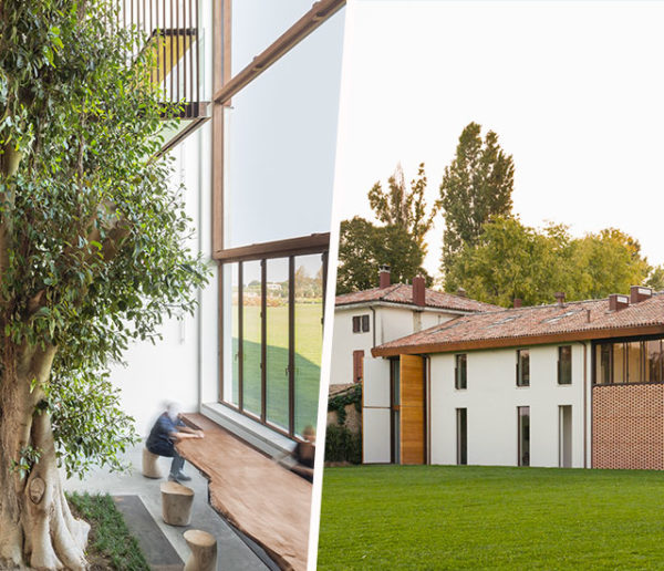 Cette magnifique maison italienne a été construite autour d'un arbre de 10 mètres de haut