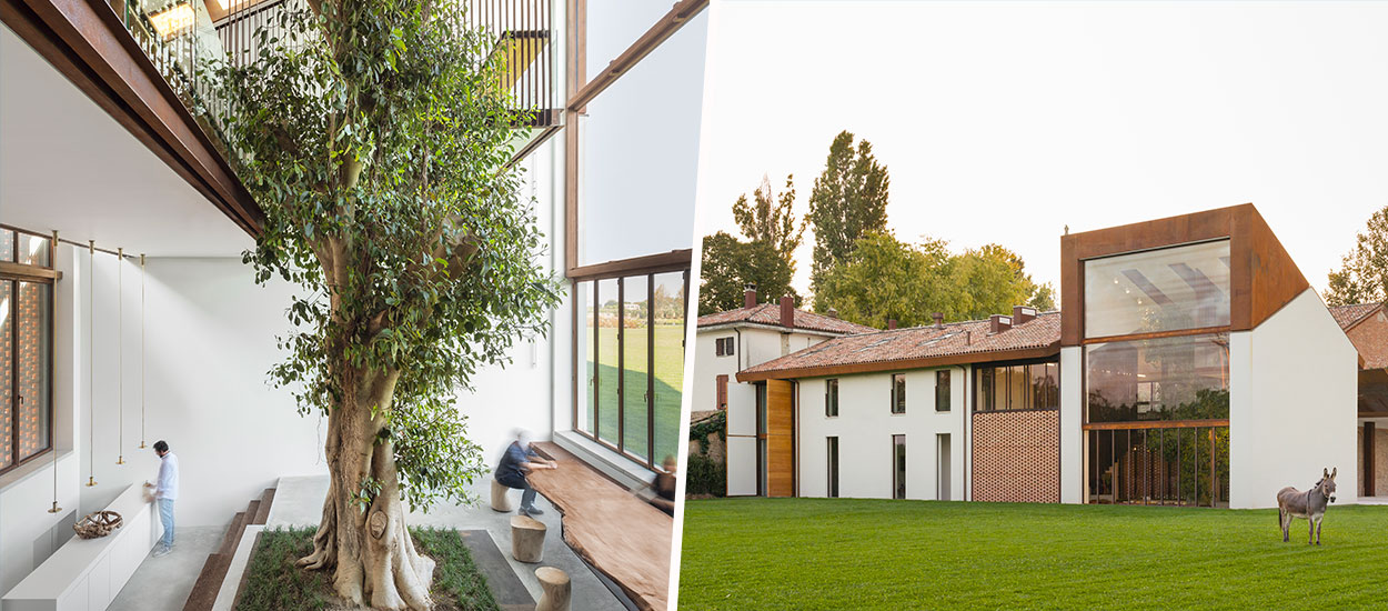 Cette magnifique maison italienne a été construite autour d'un arbre de 10 mètres de haut