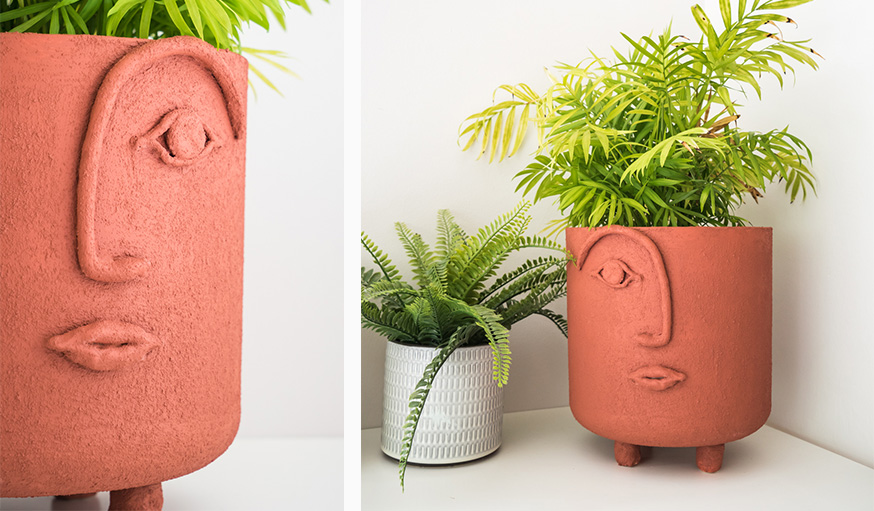 Pots de visage pour les plantes Pots de plantes uniques pour les pl