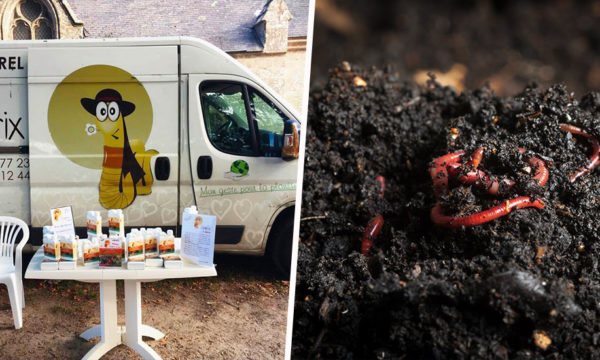 Du thé de compost made in Bretagne pour nourrir vos plantes !