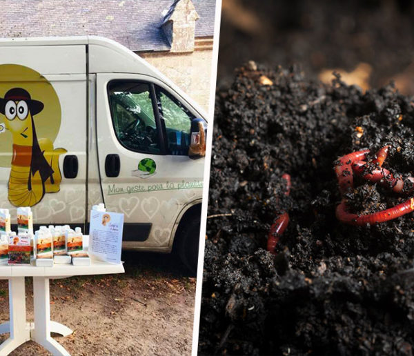 Du thé de compost made in Bretagne pour nourrir vos plantes !