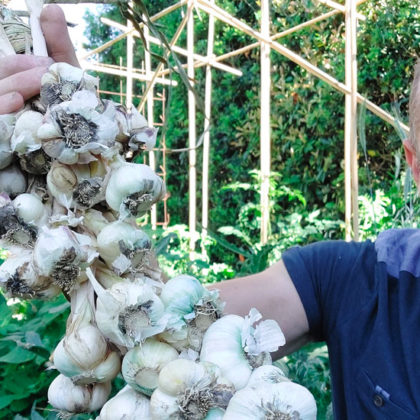 Comment avoir un potager abondant ? Olivier Puech nous livre ses secrets