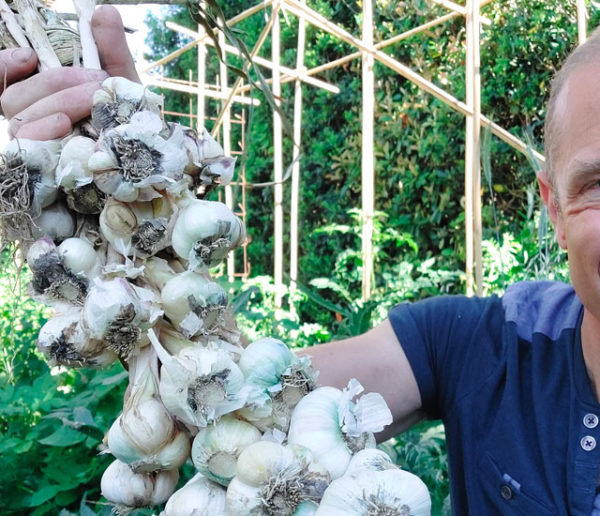 Comment avoir un potager abondant ? Olivier Puech nous livre ses secrets