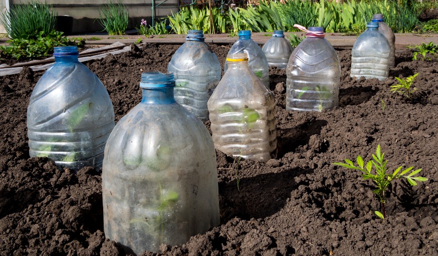 Idée de récup' numéro 18 : Bouteille plastique pour arroser les légumes -  Gamm vert