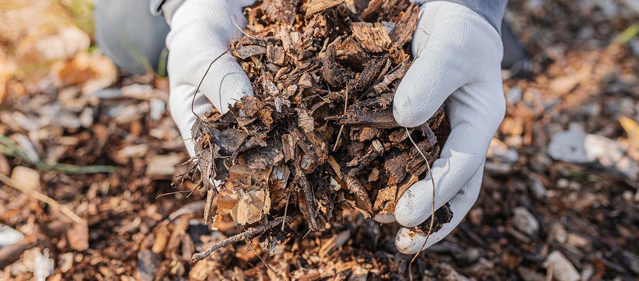 Il a inventé un mini-lombricomposteur pour composter directement dans une  jardinière