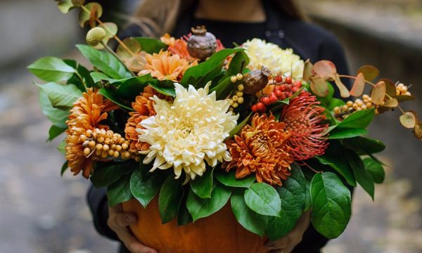 Le chrysanthème, la star de l'automne