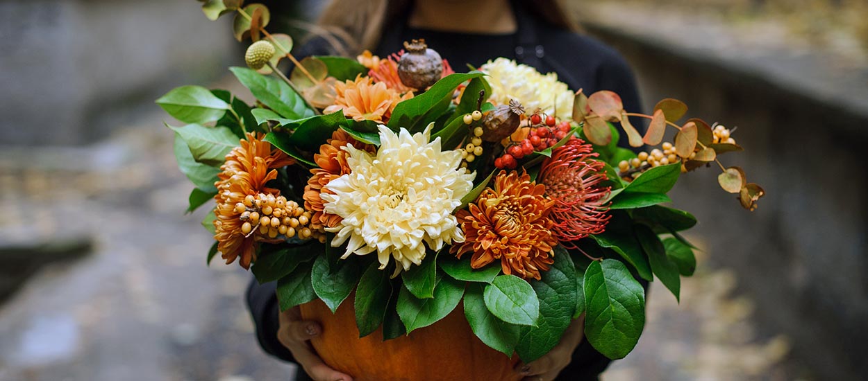 Le chrysanthème n'est pas une fleur de cimetière, la preuve avec ces 10 compositions !