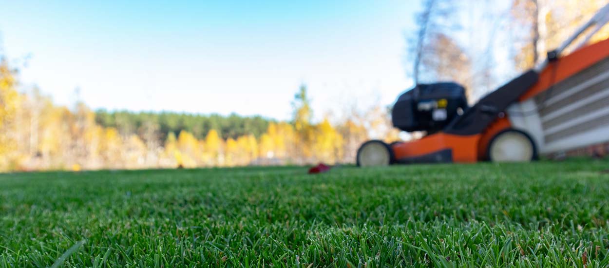 Quand devriez-vous tondre votre pelouse une dernière fois avant l'hiver ?