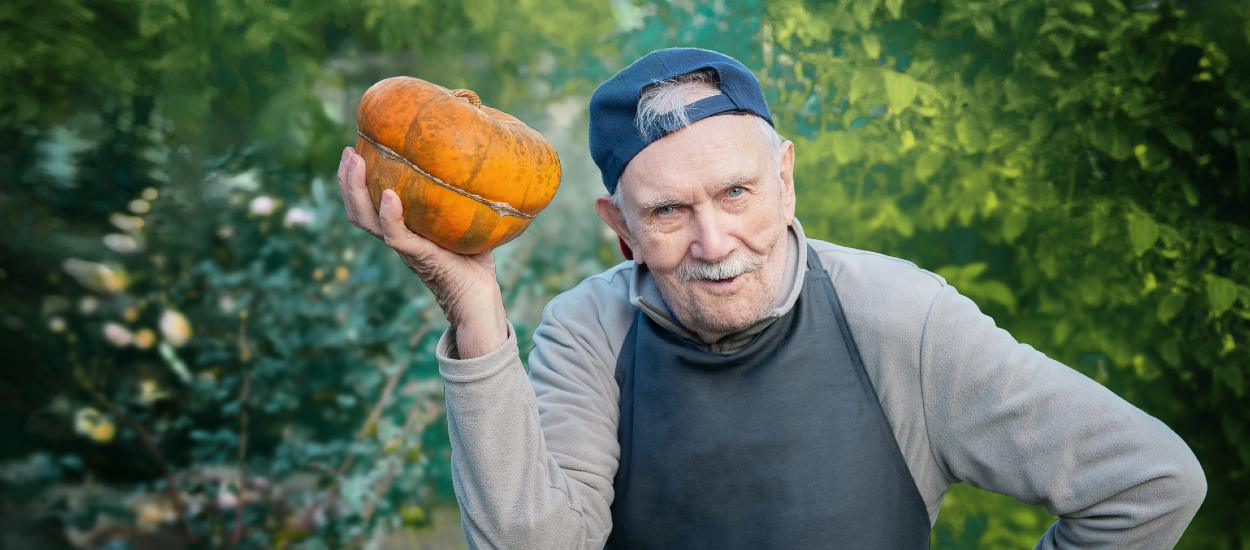 Saviez-vous que vous pouvez pratiquer la permaculture ailleurs qu'au jardin ?