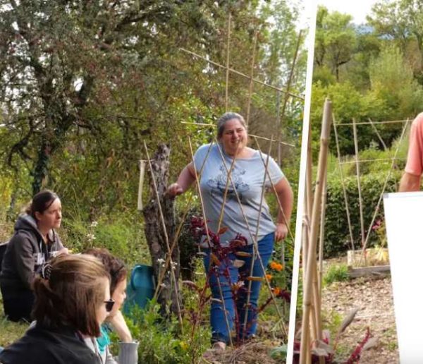 Permaculture : la rotation des cultures au potager enfin expliquée