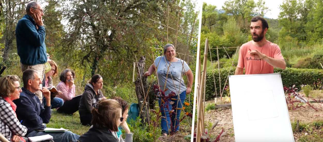 Permaculture : la rotation des cultures au potager enfin expliquée