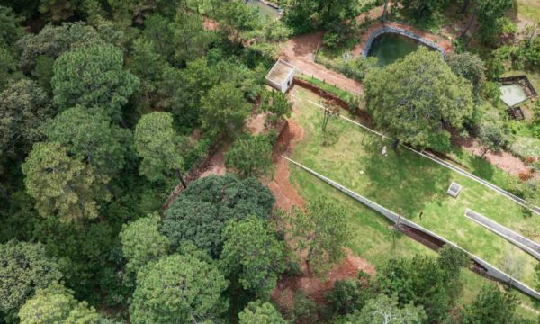 Cette maison enterrée offre une totale déconnexion dans la forêt