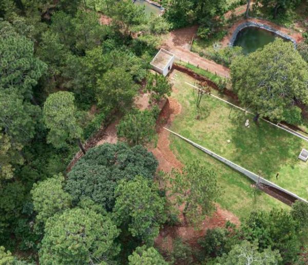 Cette maison enterrée offre une totale déconnexion dans la forêt