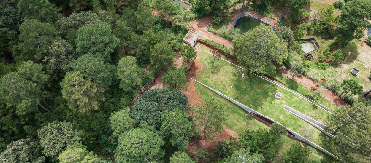 Cette maison enterrée offre une totale déconnexion dans la forêt