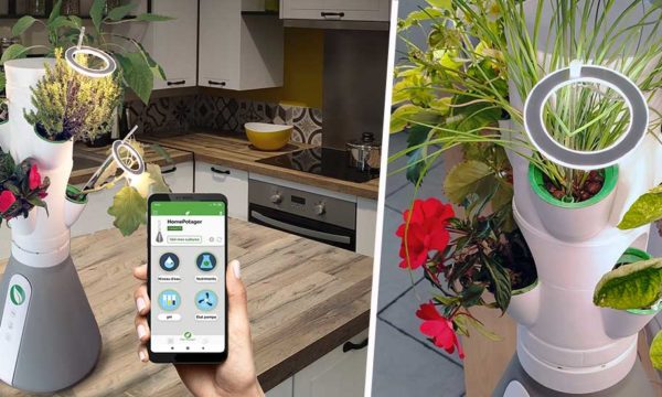 Un mini-potager tout en hauteur et connecté pour cultiver ses légumes partout !