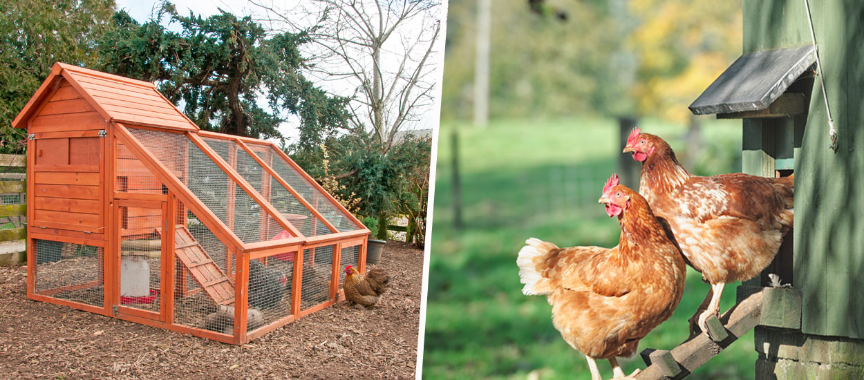 5 poulaillers à construire vous-mêmes pour chouchouter vos poules