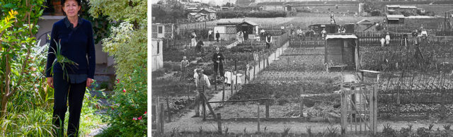 La philosophe Joëlle Zask dans son jardin