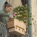 Un "jardinichoir", une jardinière équipée de nichoirs à moineaux sur un balcon avec une jeune femme
