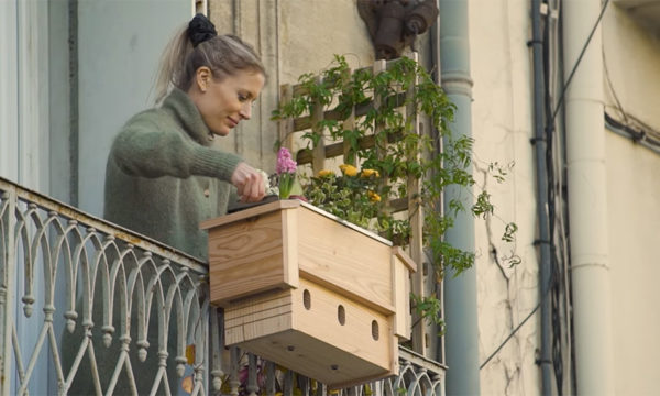 Un nichoir à oiseaux et une jardinière en même temps : découvrez le jardinichoir !