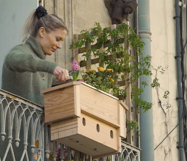 Un nichoir à oiseaux et une jardinière en même temps : découvrez le jardinichoir !