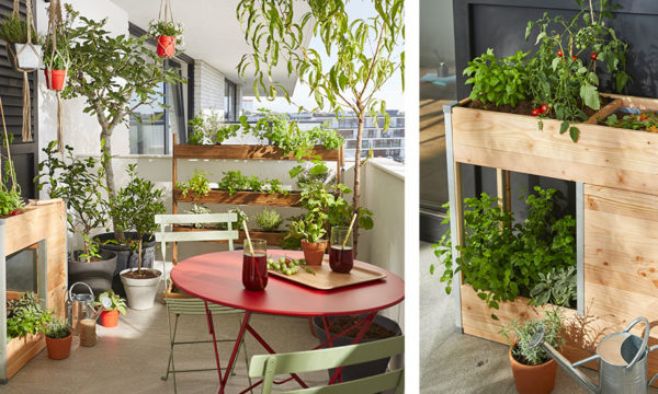 Le Balcomposteur : un composteur pour balcon qui fait aussi potager