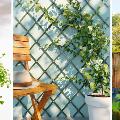 10 idées pour créer un jardin vertical