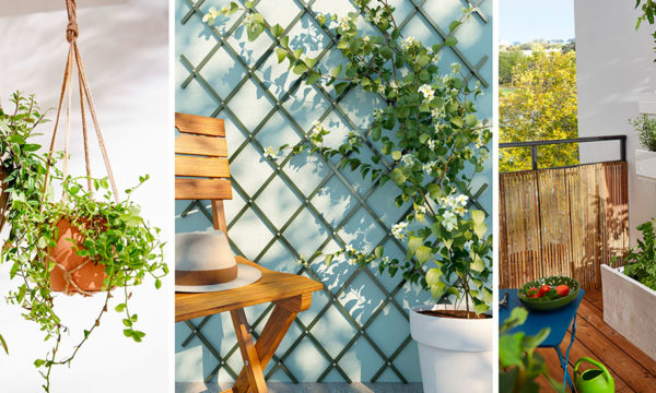 10 idées pour créer un jardin vertical
