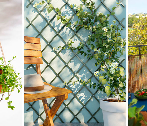 Plantes suspendues et murs végétaux : 10 idées pour aménager un jardin vertical