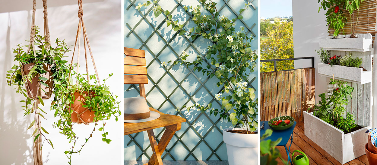 Plantes suspendues et murs végétaux : 10 idées pour aménager un jardin vertical