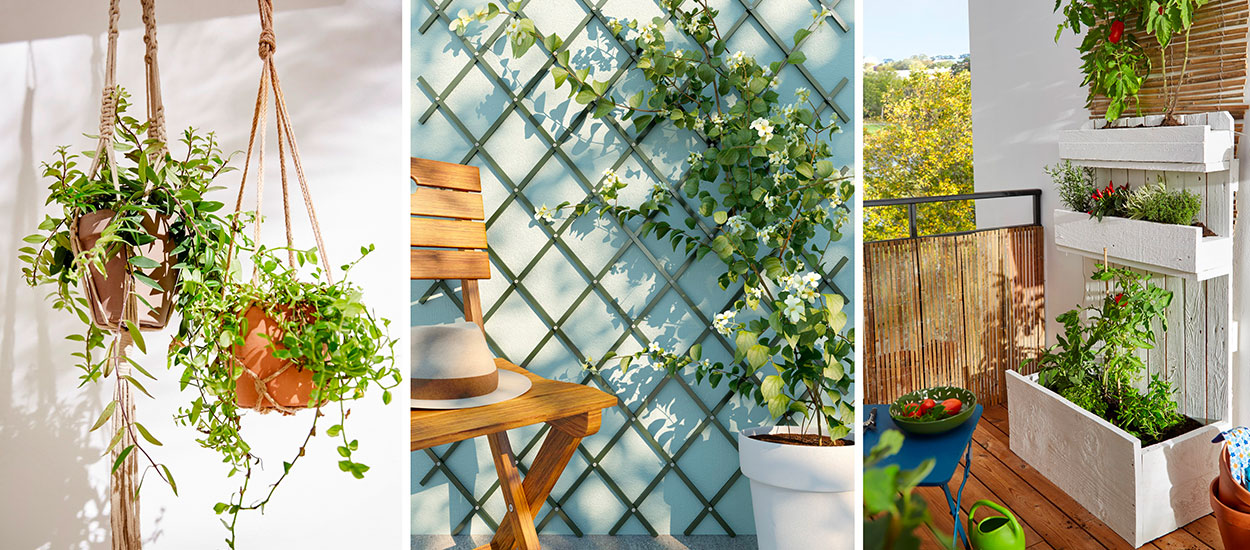 10 idées pour créer un jardin vertical