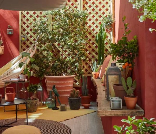 Grandeur nature : que mettre dans des grands pots sur une terrasse ?