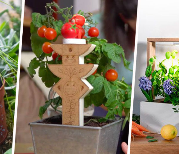 Comment apprendre le jardinage aux enfants quand on n'en a pas ?