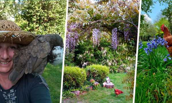 Découvrez comment Joëlle a transformé son jardin en paradis pour les animaux