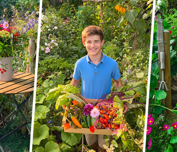 Ce jeune passionné a créé un potager de seulement 15m² et sa récolte est abondante