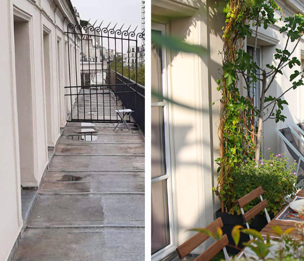Elle a aménagé son balcon en un véritable petit paradis vert