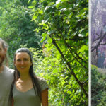 Un couple d'anciens Parisiens quitte tout pour se lancer dans l'agroforesterie en Hérault