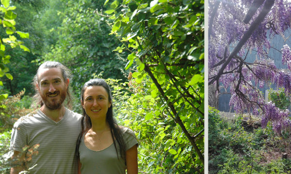 Delphine et Daniel ont quitté la région parisienne pour créer un jardin forêt et vivre leur rêve écologique