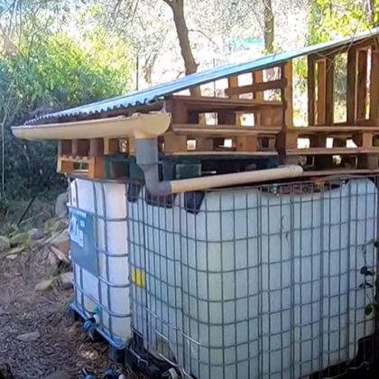 Sur un balcon, sans toit, sans récupérateur d'eau : les méthodes alternatives pour collecter l'eau de pluie