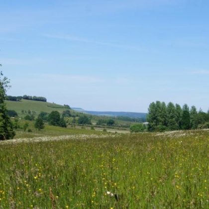 Voici comment protéger la biodiversité de votre terrain pendant 99 ans (même s'il change de propriétaire)