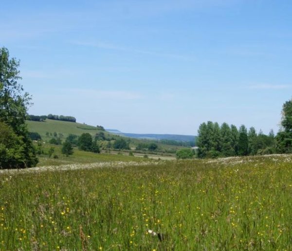 Voici comment protéger la biodiversité de votre terrain pendant 99 ans (même s'il change de propriétaire)