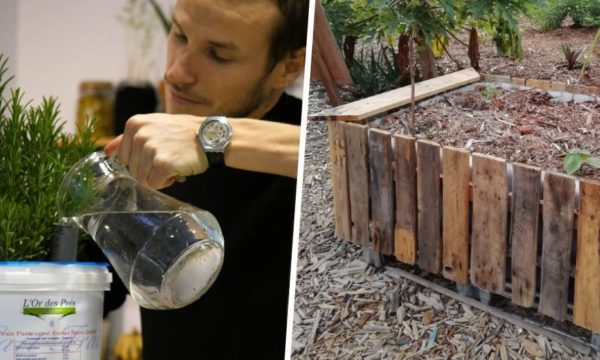 4 tutoriels pour créer un wicking bed : une jardinière ou un potager autonome en eau