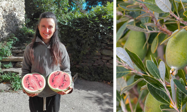 13 variétés de fruits et légumes rares à planter pour un jardin nourricier toute l'année