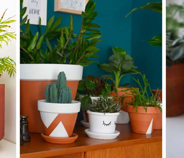 10 idées pour décorer soi-même de jolis pots de fleurs sans se ruiner