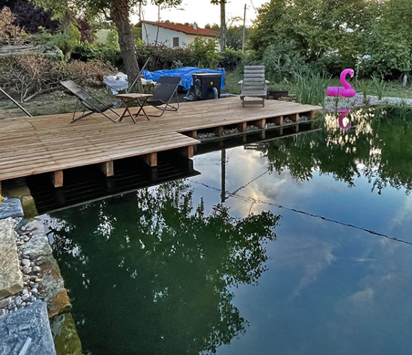 Comment construire sa piscine naturelle en cinq étapes